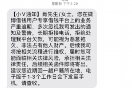 温州温州的要账公司在催收过程中的策略和技巧有哪些？